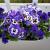 Galeriebild 2
