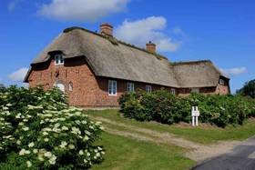 Bild: Ferienhaus "Hörn", Urlaub mit Hund, Zaun, Kamin, - 5 P, Nordsee
