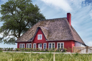 Bild Ferienhaus "Uthlande", Urlaub mit Hund, - 6 P, Zaun, Nordsee