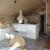 Galeriebild 2