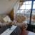 Galeriebild 2