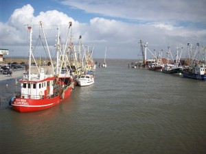 Bild: Nordsee Ferienhaus Dornumersiel nur ein paar Minuten vom Strand entfernt