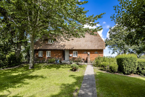Bild: Reet-Ferienhaus in Emmelsbüll-Horsbüll