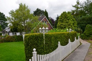 Bild: Wangerland: "Zum alten Friesen" Fewo FRIESO, naturnah vor dem Toren Hooksie