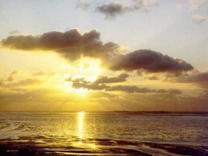 Bild: Meerblick Ferienwohnung Kranich Fewo Sankt Peter-Ording Kurteil Bad Strand