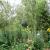 Galeriebild 5