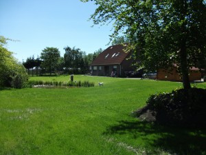 Bild: Ferienwohnung Nicki in Dornum
