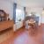 Galeriebild 5