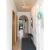 Galeriebild 2