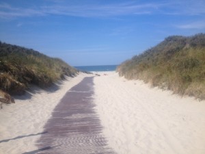 Bild: Top Ferienwohnung in direkter Deichlage 150m zum Strand Norddeich Nordsee
