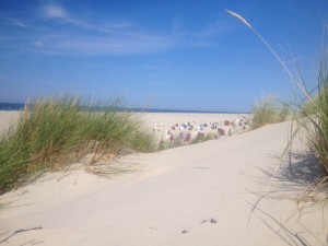 Bild: Top Ferienwohnung in direkter Deichlage 100m zum Strand Norddeich Nordsee